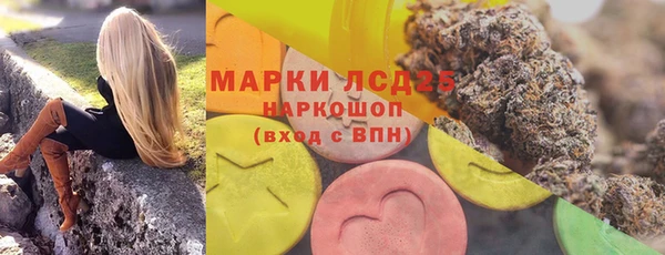 дживик Няндома